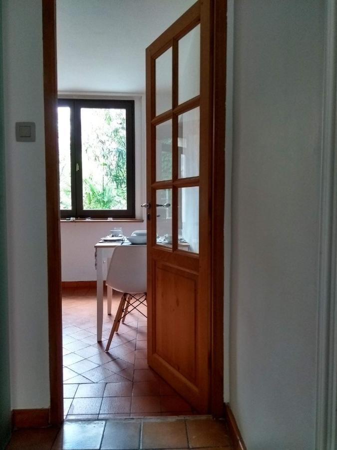 Number15 Guesthouse Carcassonne Exteriör bild