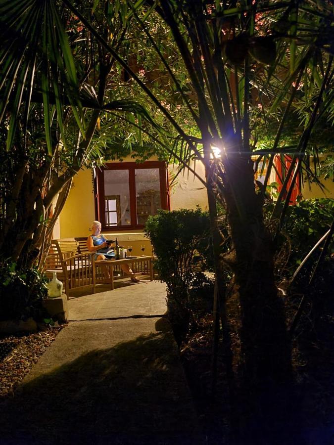 Number15 Guesthouse Carcassonne Exteriör bild